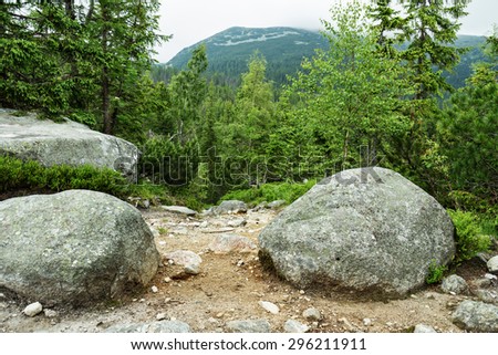 rocky objects - stones - in a rocky landscape in Slovakia