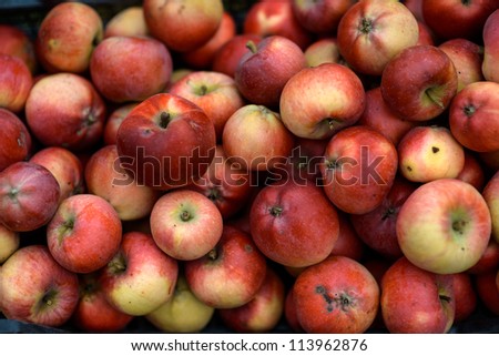 Multiple Apples in a box shown up close