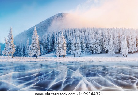 Similar – Image, Stock Photo Ice Age | smooth