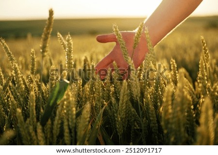 Similar – Image, Stock Photo close up view of unrecognizable young asian woman doing yoga in a park. Sitting on the bridge with praying hands position and using Mala necklace. Yoga and healthy lifestyle concept