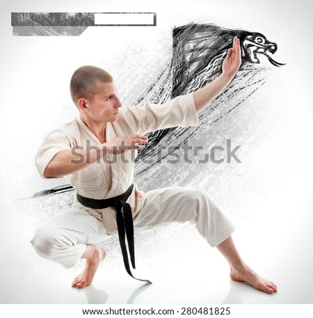 Karate. Man in a kimono on the white background
