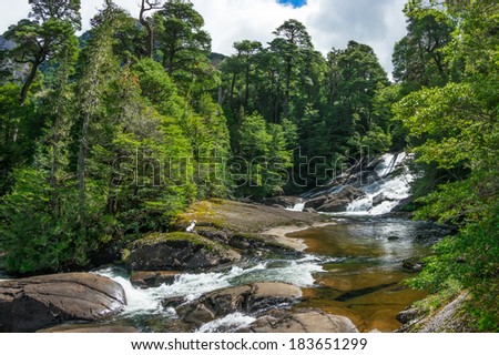 waterfall in mountain forest, stream with stones