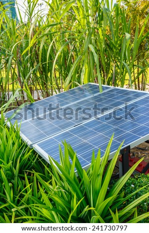 The panels of electric solar cell in the green garden.