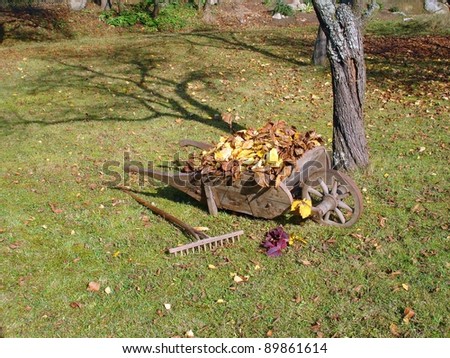 Cleaning up fall leaves