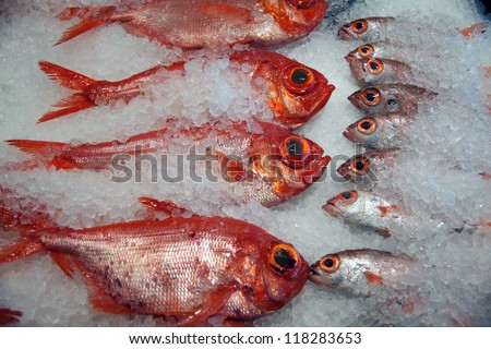 Fresh frozen fish processing and conditioning