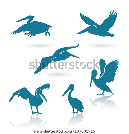 Similar – Image, Stock Photo Pelican flies as a silhouette before the evening sky