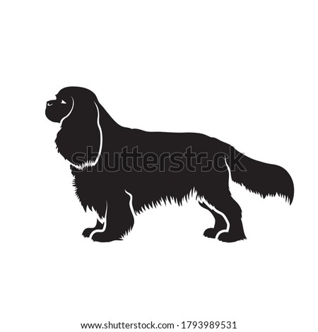 Cavalier King Charles Spaniel dog - isolated vector illustration Photo stock © 