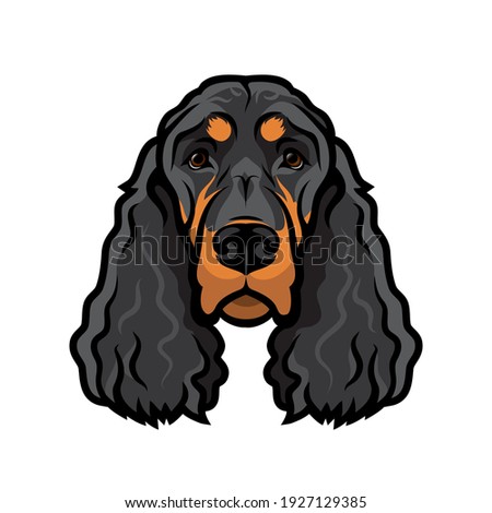 Gordon setter dog breed - isolated vector illustration
