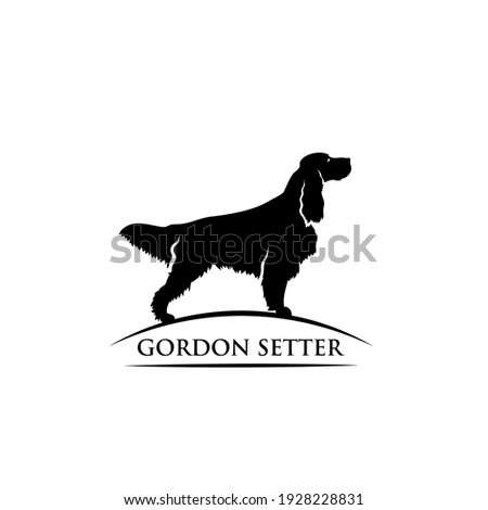 Gordon setter dog breed - isolated vector illustration