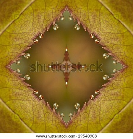 A square pattern that can be used multiple times to create a seamless background from water drops on a leaf.