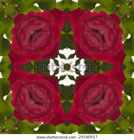 A square pattern that can be used multiple times to create a seamless background of a red rose