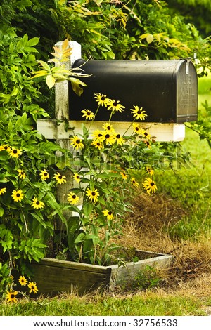 A black mailbox in a rural setting with Black-Eyed-Susans growing beside it.