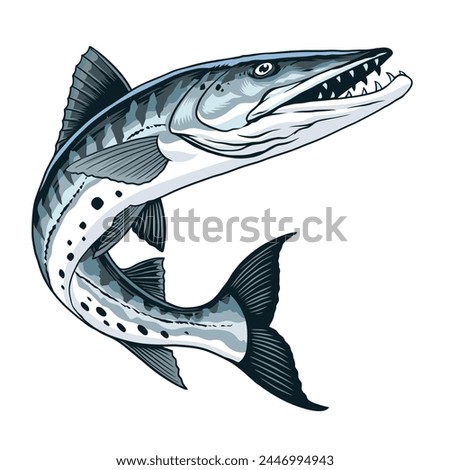 Hand Drawn Illustration of Barracuda Fish Vintage