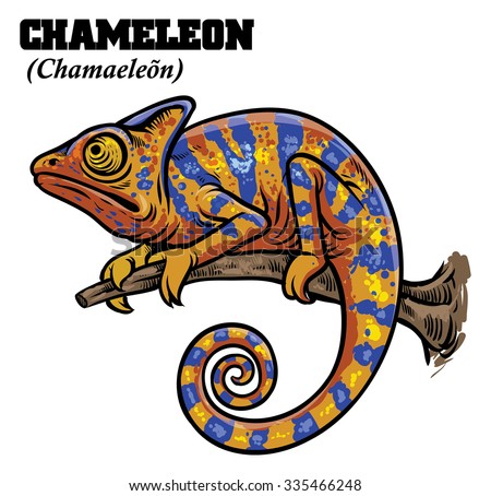 Chameleon In Hand Drawing Style Stock Vector Illustration 335466248 ...