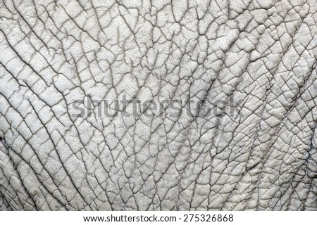 Elephant skin nature pattern from closeup view with details