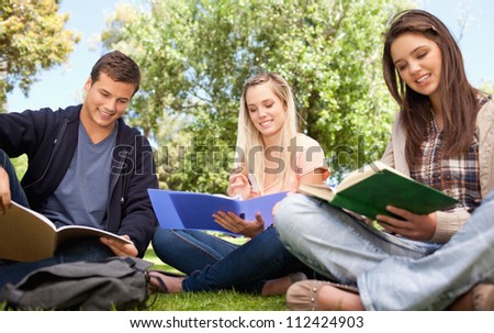 Low angle-shot of young people studying in a park