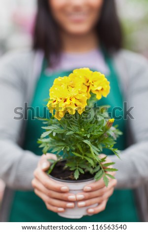 Woman presenting a yellow flower and holding it out