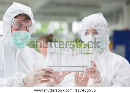 Students looking at test tubes with seedlings in them in the laboratory wearing protective suits