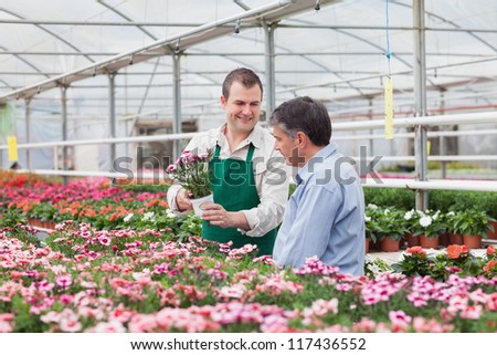Man and employee looking at flowers in greenhouse in garden center