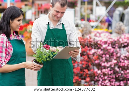 Garden center workers using tablet pc to check flowers in garden center