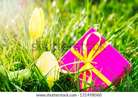 Pink gift with easter egg and yellow tulip in the grass in the sunshine