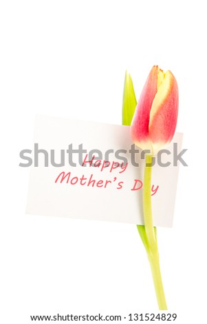 A tulip with a happy mothers day card on a white background