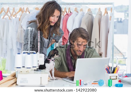 Fashion designers with chihuahua working on laptop
