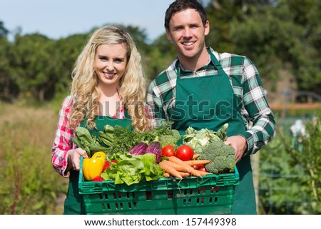 Proud young couple showing vegetables in their garden smiling at camera