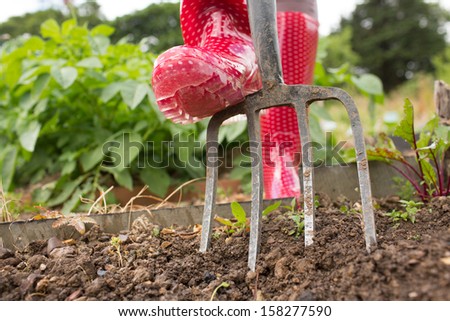 Woman wearing red rubber boots working in the garden with a pitch fork