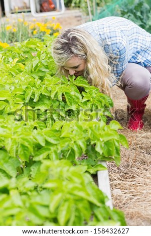 Pretty young woman working in the garden wearing check shirt and wellington boots
