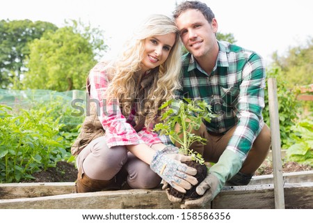 Young couple planting a shrub in their garden smiling at camera