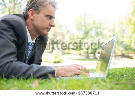 Mature businessman surfing on laptop while lying in park