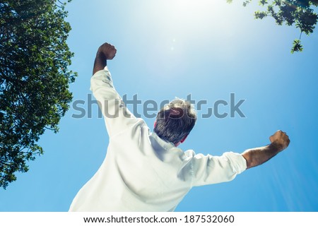 Rear view of successful businessman with arms outstretched against clear sky