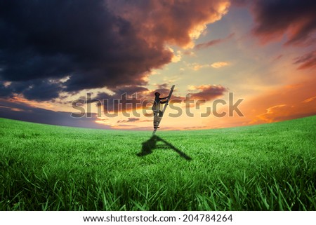 Businessman climbing up ladder against green field under orange sky