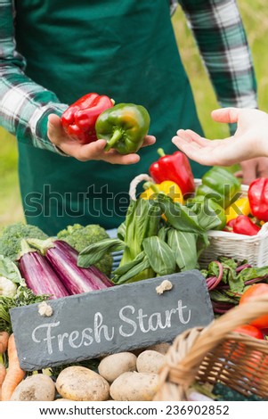Fresh start against fresh vegetables at farmers market