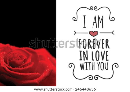 Red rose on black background against valentines message