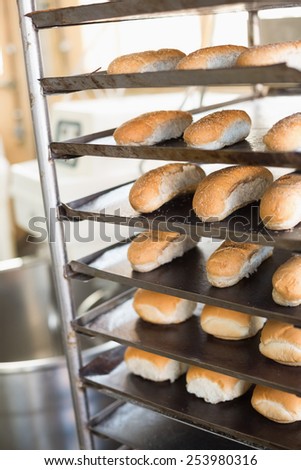 Bread rolls on trays of shelf in the kitchen of the bakery