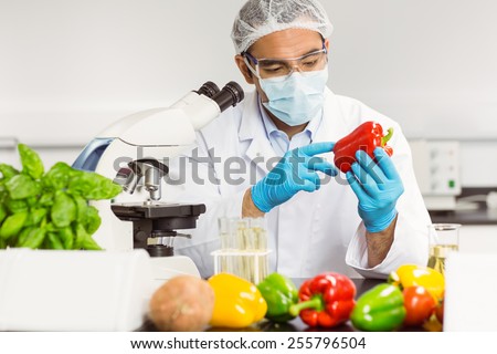 Food scientist examining a pepper at the university