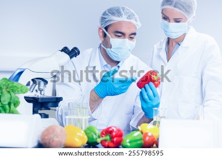 Food scientists looking at a pepper at the university