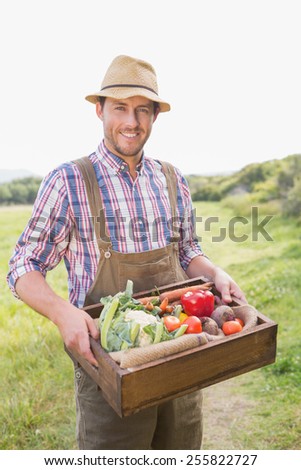 Happy farmer carrying box of veg on a sunny day