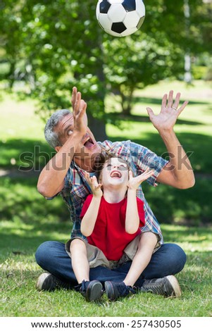 Happy father playing at the ball with his son on a sunny day