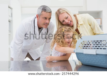 Veterinarian and cat owner looking at cat in medical office