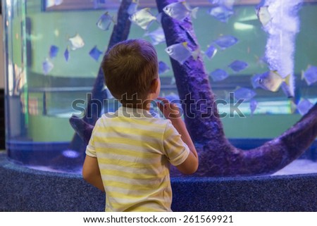 Cute boy looking at fish tank at the aquarium