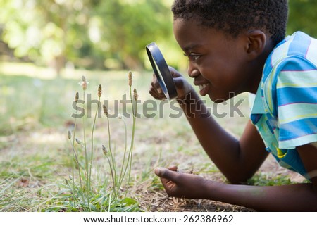 Cute little boy looking through magnifying glass on a sunny day
