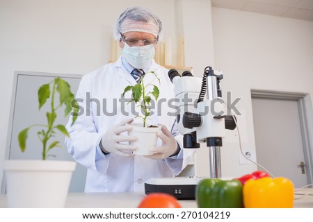 Food scientist looking at green plant in laboratory
