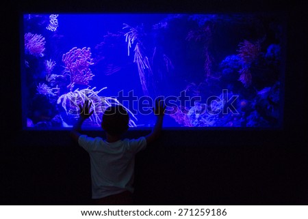 Young man touching an algae tank in a darkest room at the aquarium