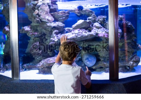 Young man looking at sea snake in a tank at the aquarium