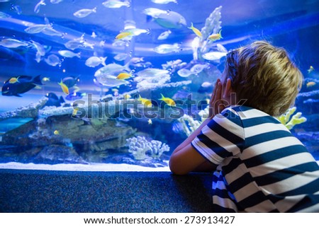 Young man sitting in front of a fish-tank at the aquarium