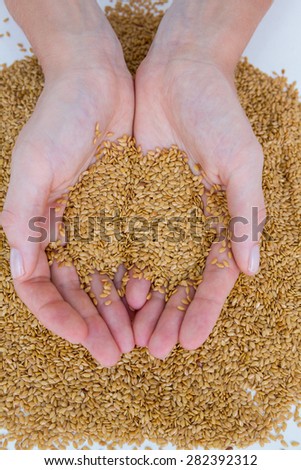Hands holding seeds on white background