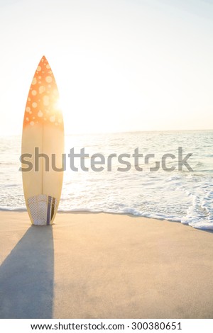 surf board standing on the sand at the beach